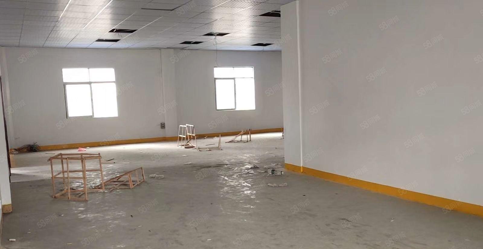 樟木头（原房东）独院厂房出租