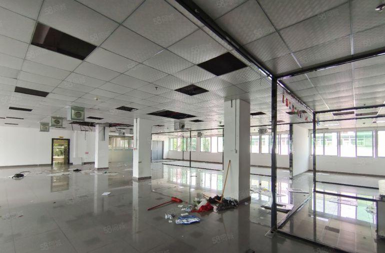 樟木头镇本地一手房东独院厂房出租5000平方工业用地注塑环评