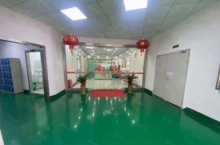 樟木头楼上精装修900平不要转让费，形象超好可办环评