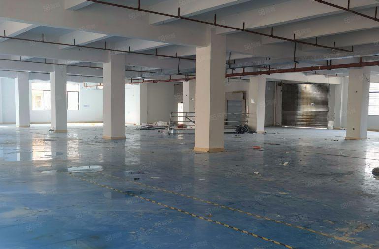 13元一楼实际面积，樟木头原房东厂房出租800平方可做电池