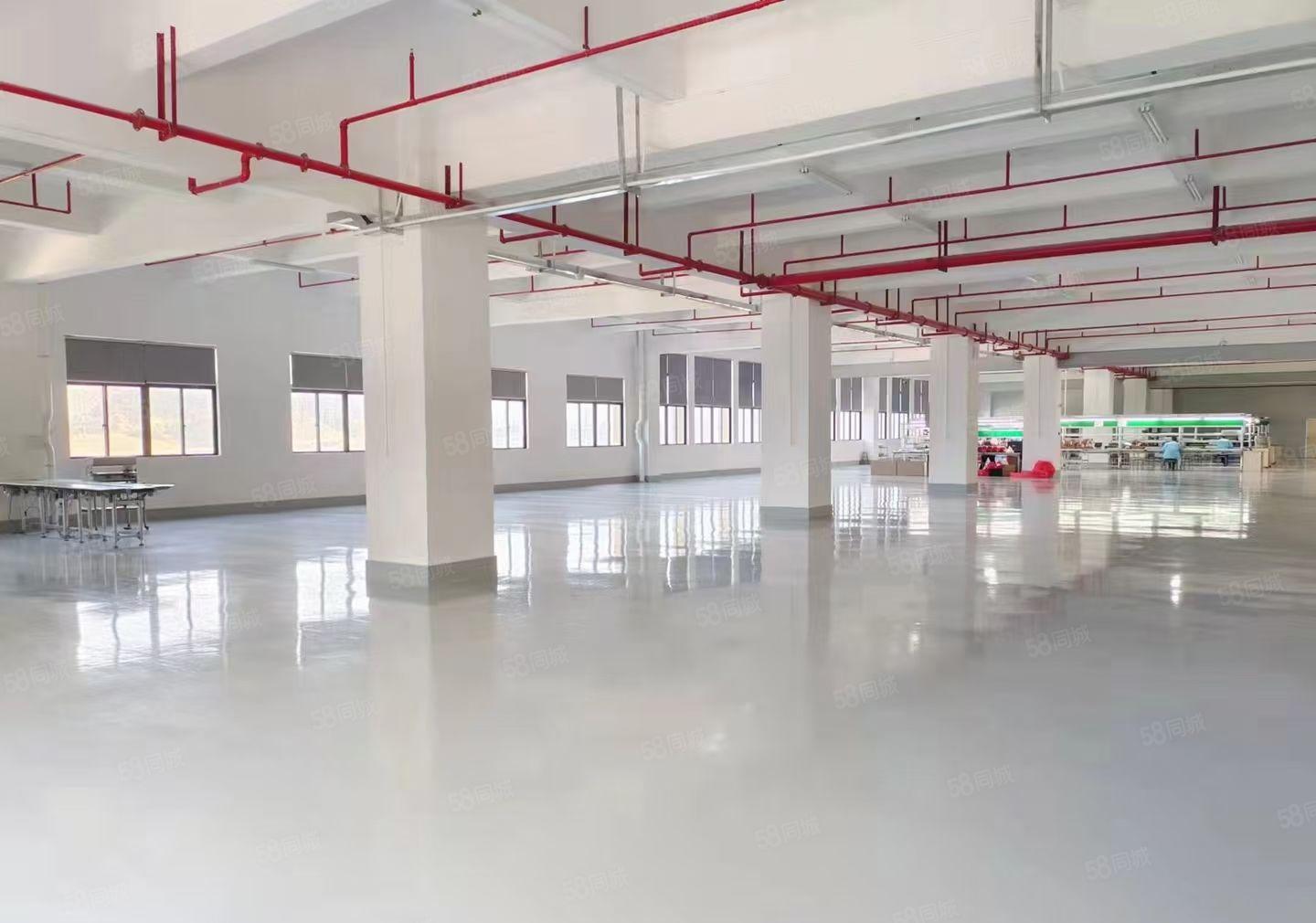 （带环评空地大）樟木头原房东厂房出租200平方水电办公室齐全