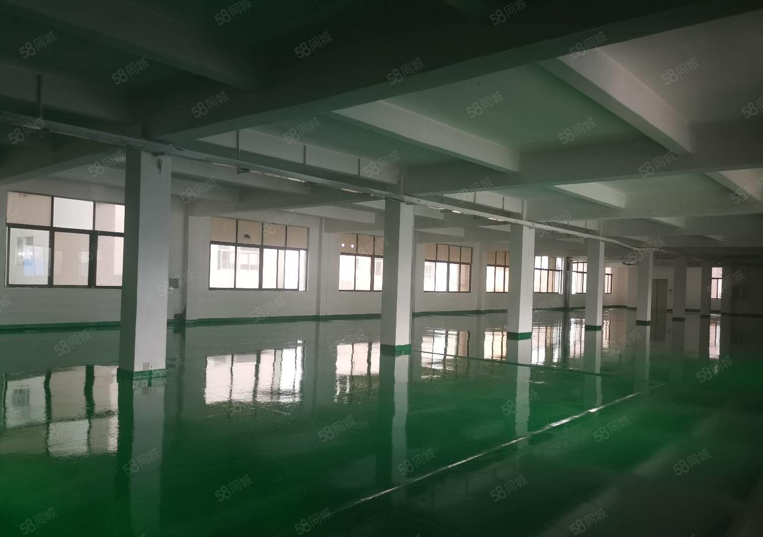 樟木头主干道旁成熟工业区标准一楼3000平厂房出租分租