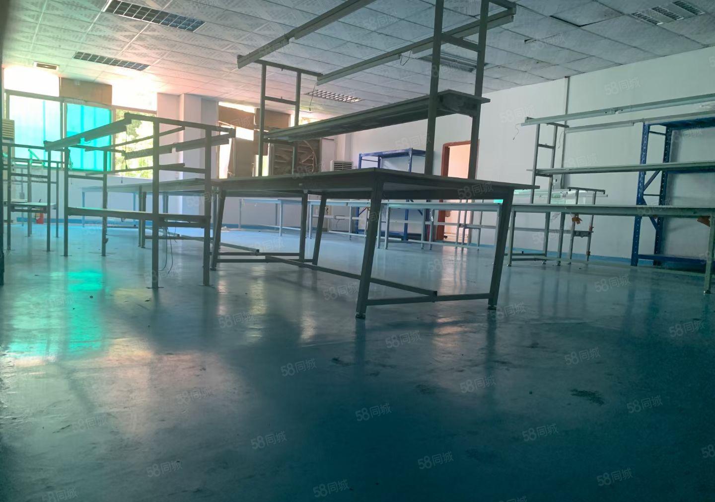 樟木头原房东2楼厂房出租238平，带地坪漆装修刚空出