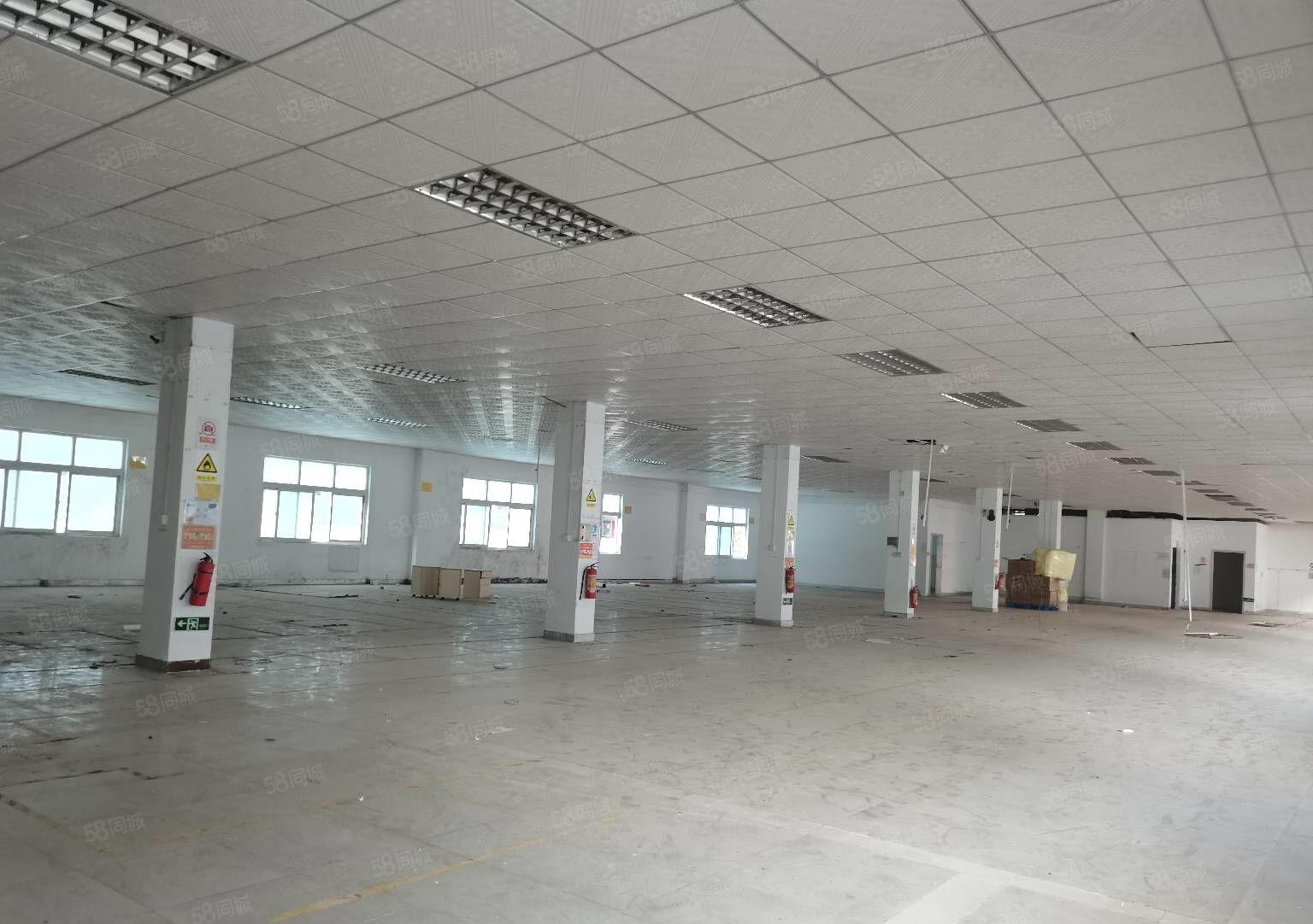 工业区厂房！樟木头楼上厂房1380平方招租