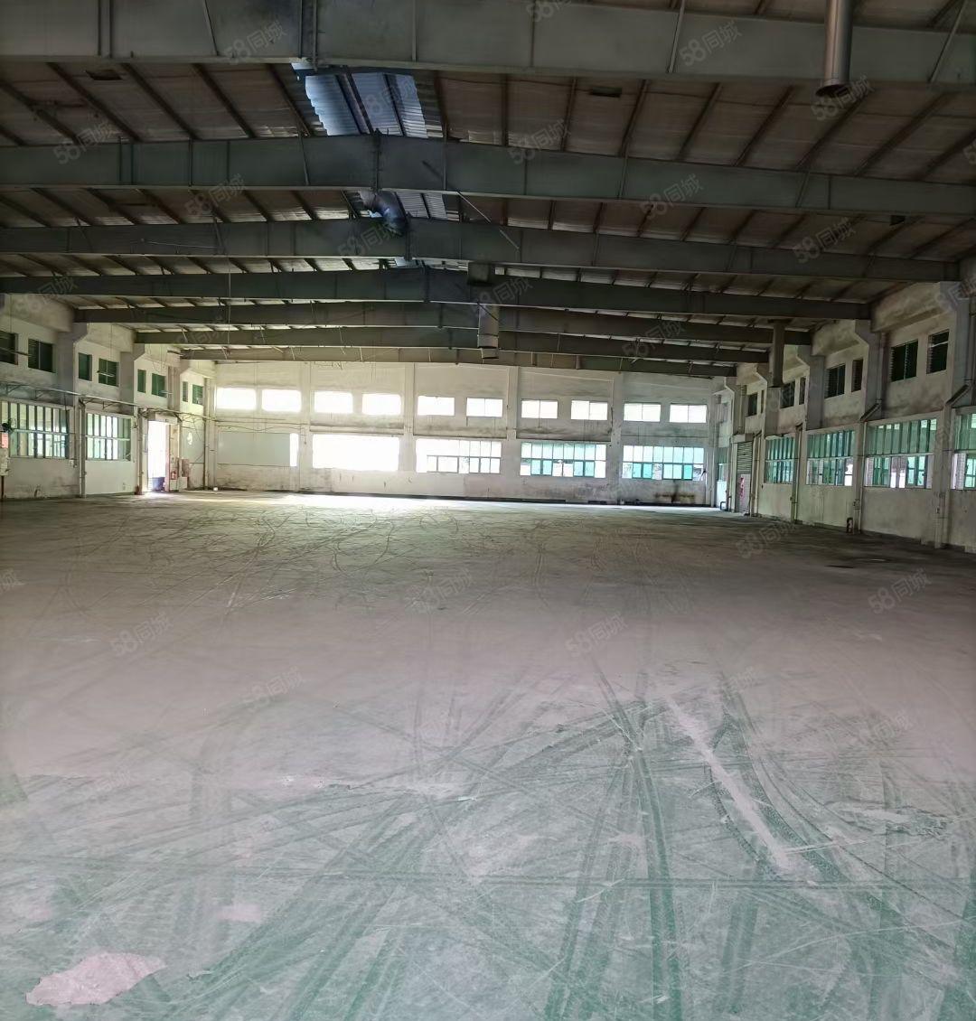 樟木头工业区新出4000平砖墙到顶钢结构厂房，可以分租