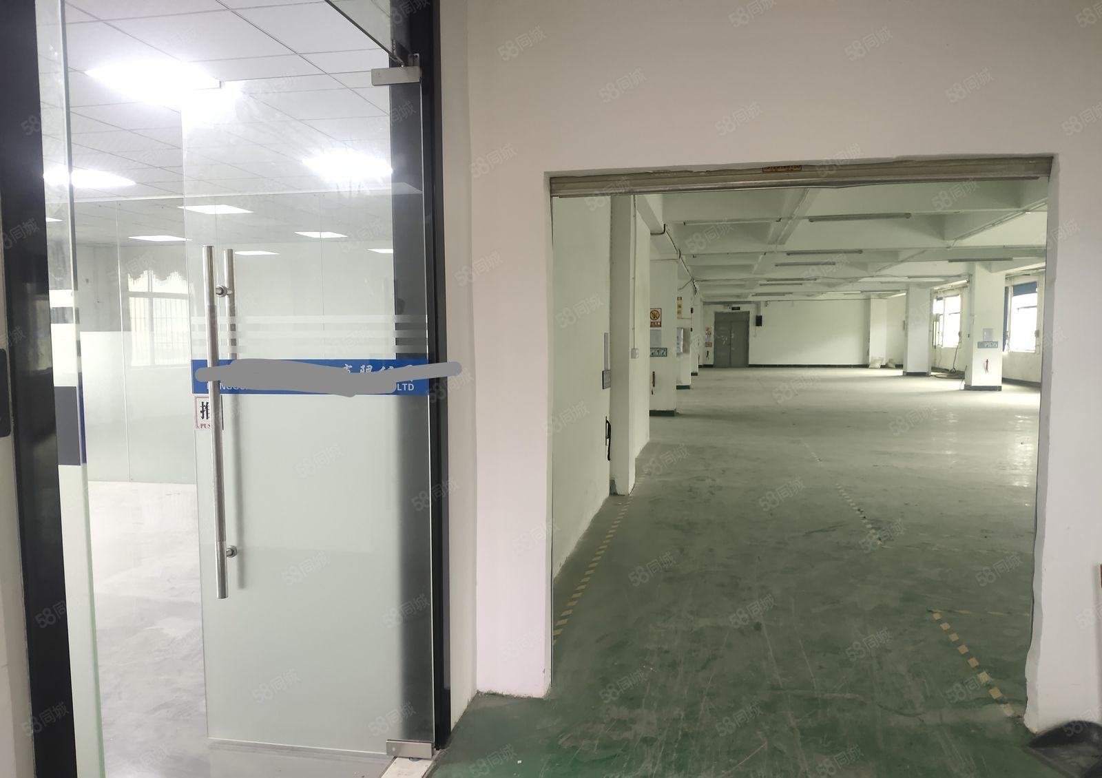 樟木头标准厂房1200平方，带现成办公室装修，主线到位。