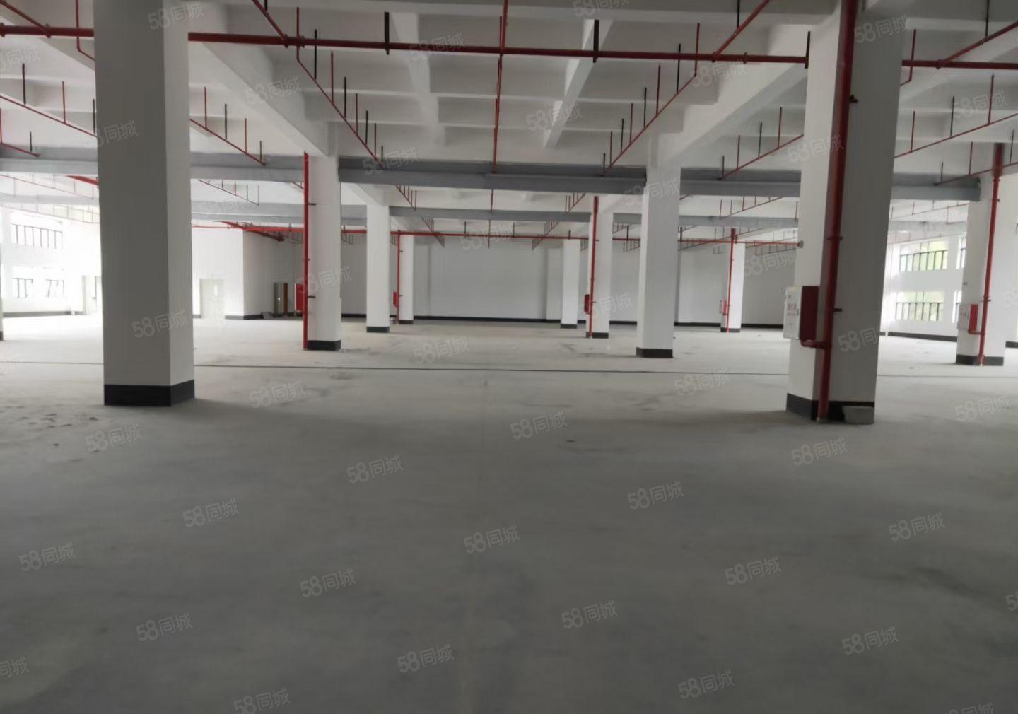 全新标准独院厂房2.7万平方，大小可分租，高度7米