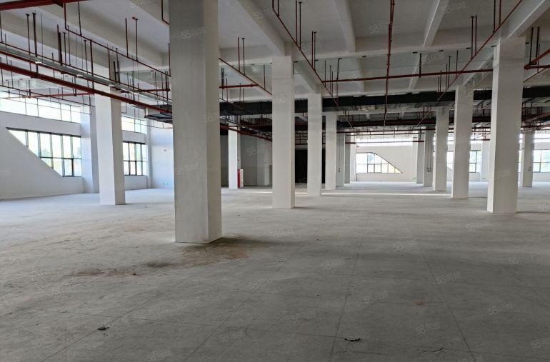 樟木头原房东全新厂房出租1800平方一楼水电齐全低价急租