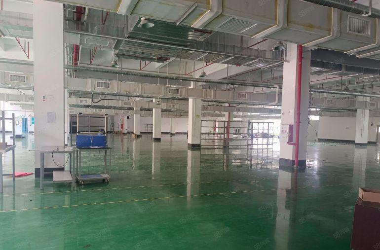 樟木头原房东独门独院标准厂房出租楼上现成办公室地坪漆水电齐全