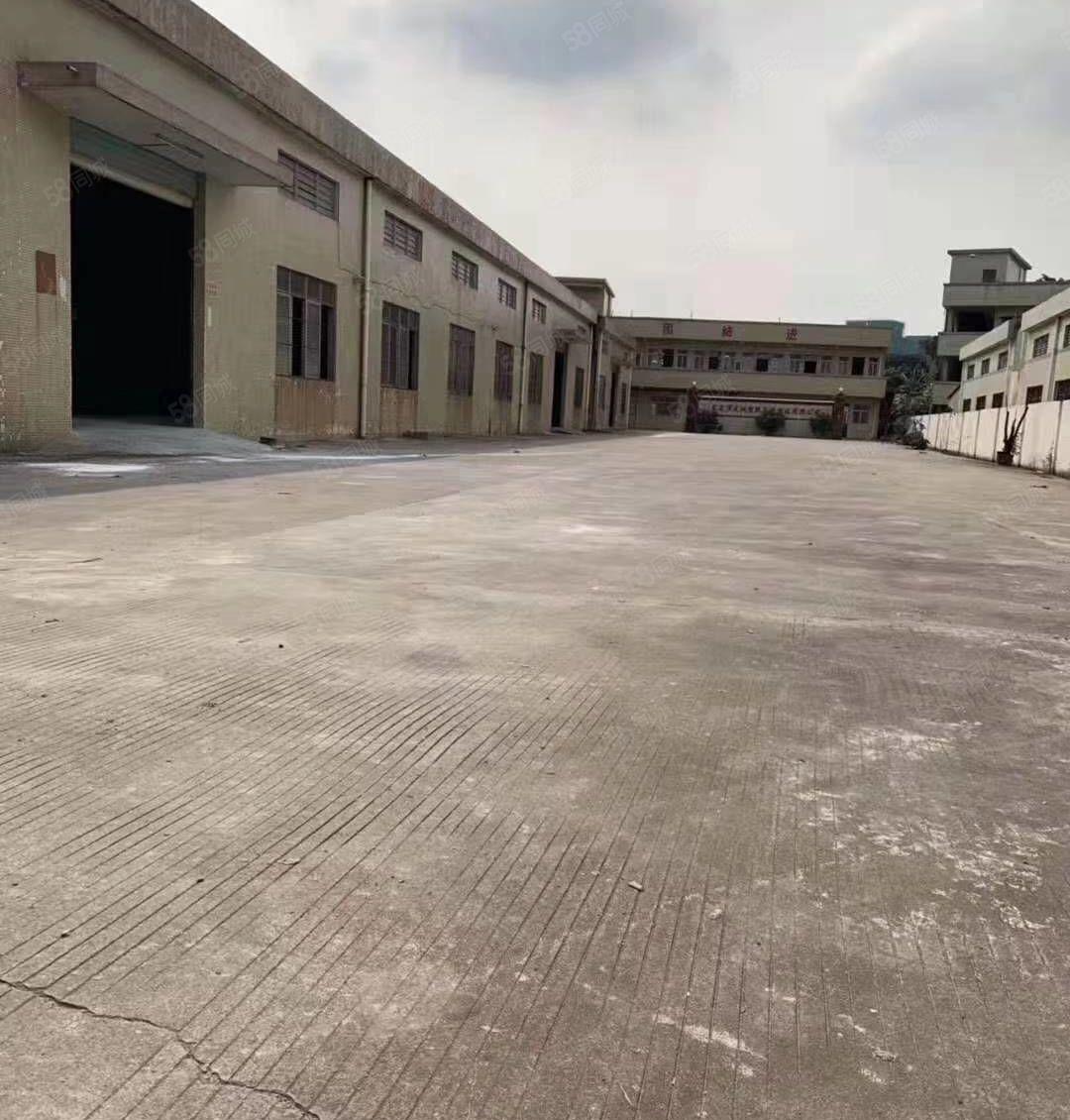 樟木头新出单层9米高厂房1500平米招租