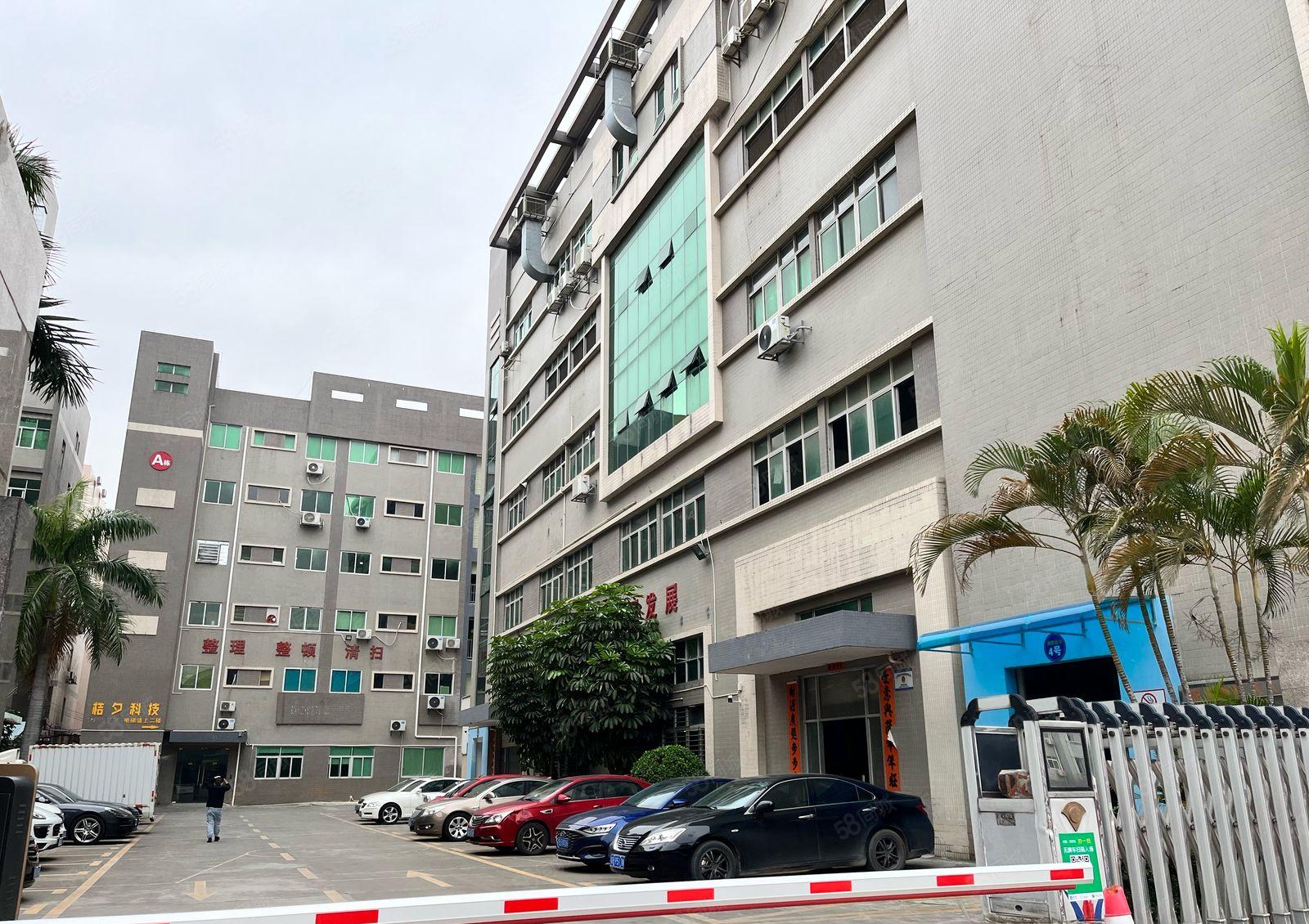 樟木头原房东800平厂房出租 交通便利 仓库 五金 塑胶