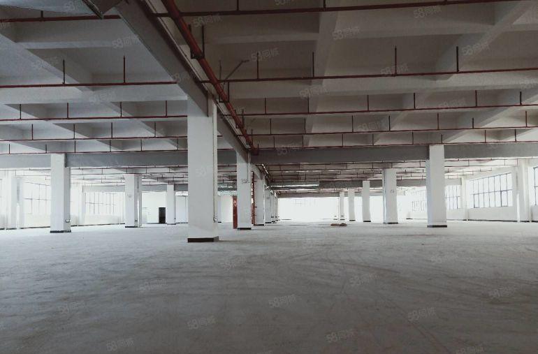 樟木头镇金河管理区全新红本标准厂房一层3450平方出租可分租