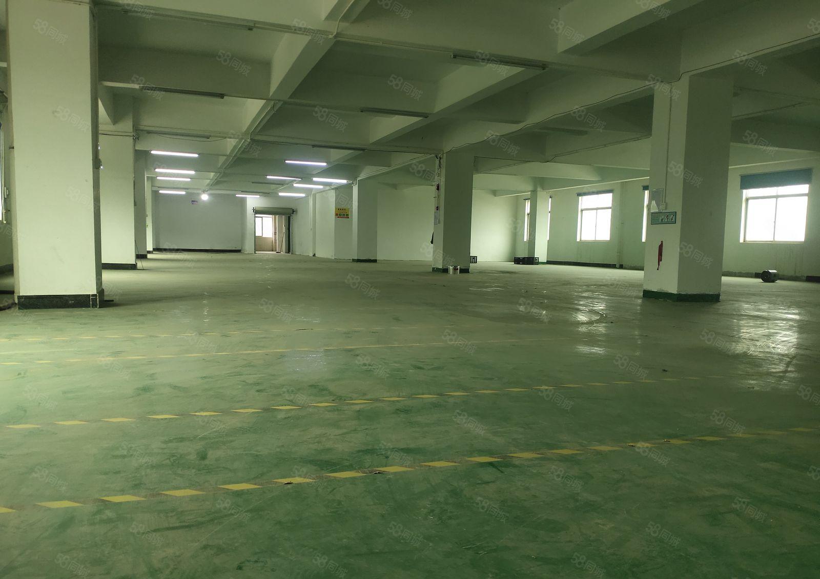 樟木头标准厂房1200平方，带现成办公室装修，主线到位。