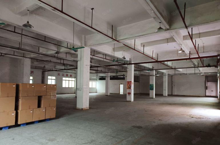 樟木头标准独院国有证消防证一楼5米水电齐全交通方便价格便宜