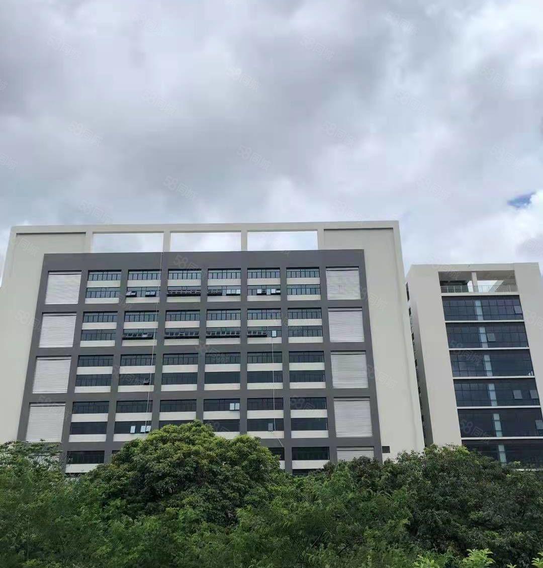 樟木头新出厂房 独门独院 原房东  带行车 可分租 1000