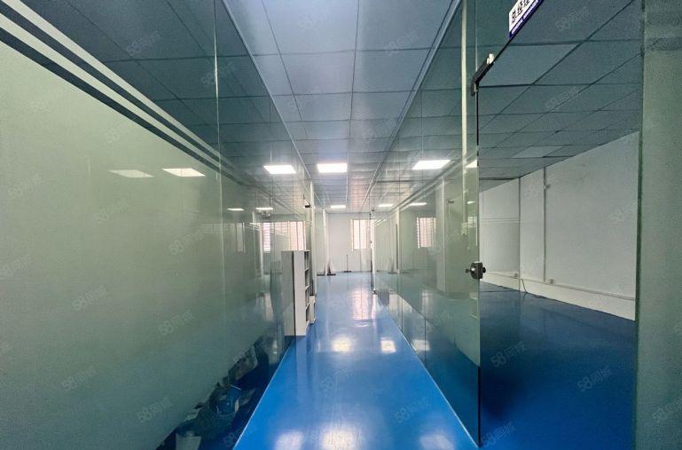 樟木头樟洋 银洋精装修300平 600平可做电池组装 10元