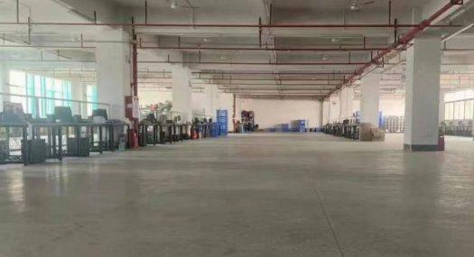 东莞东莞市 东莞凤岗6000㎡ 厂房租售层高6米 配电315KVA 独院 可环评 可分租