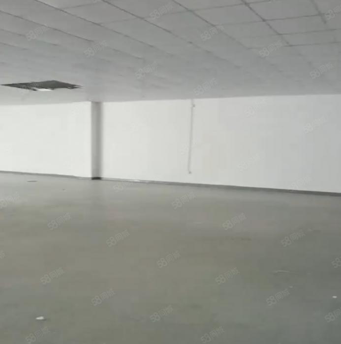 大朗S357旁楼上豪华装修700平厂房出租 超大空地