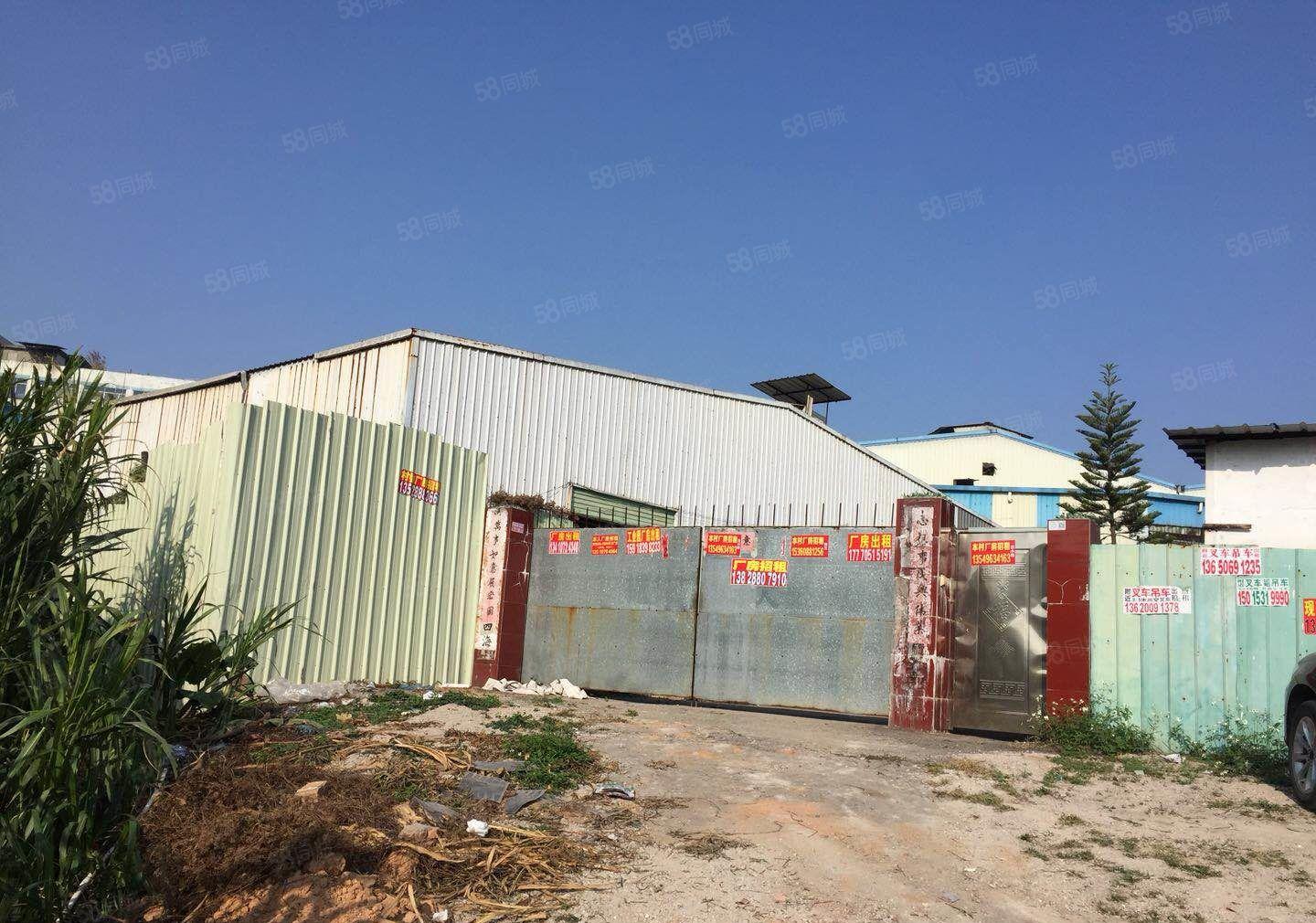 原房东急租！大朗洋乌800平方单层铁皮 租9元 空地大