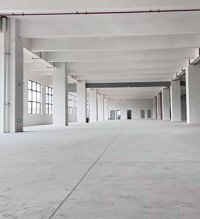 大朗富民南路全新厂房招租（形象好 租金低 交通便利 配套齐）