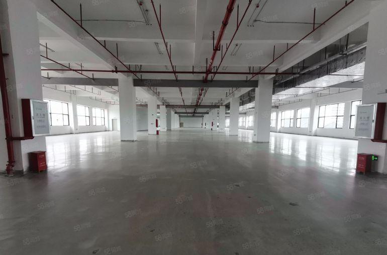 大朗镇高速路口附近原房东全新厂房40000平独院大小可分租