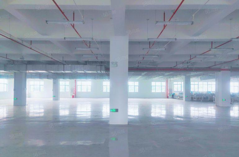 大朗全新带牛角标准厂房出租面积大小可分工业用地交通便利空地大