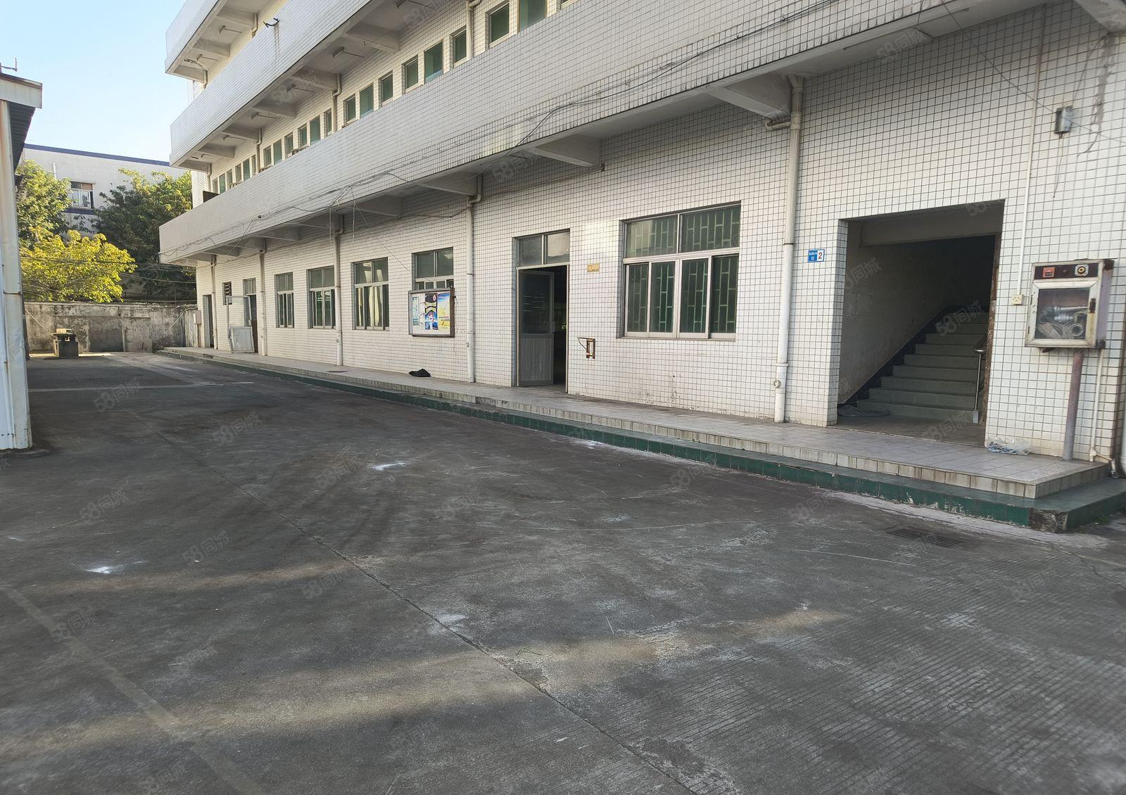 原房东独院厂房独栋厂房重工业厂房花园厂房出租红本厂房