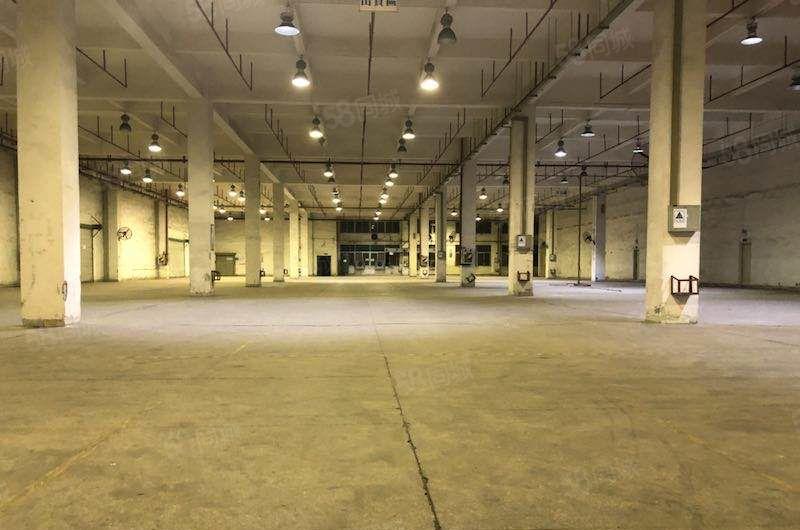 大朗独门独院标准厂房出租