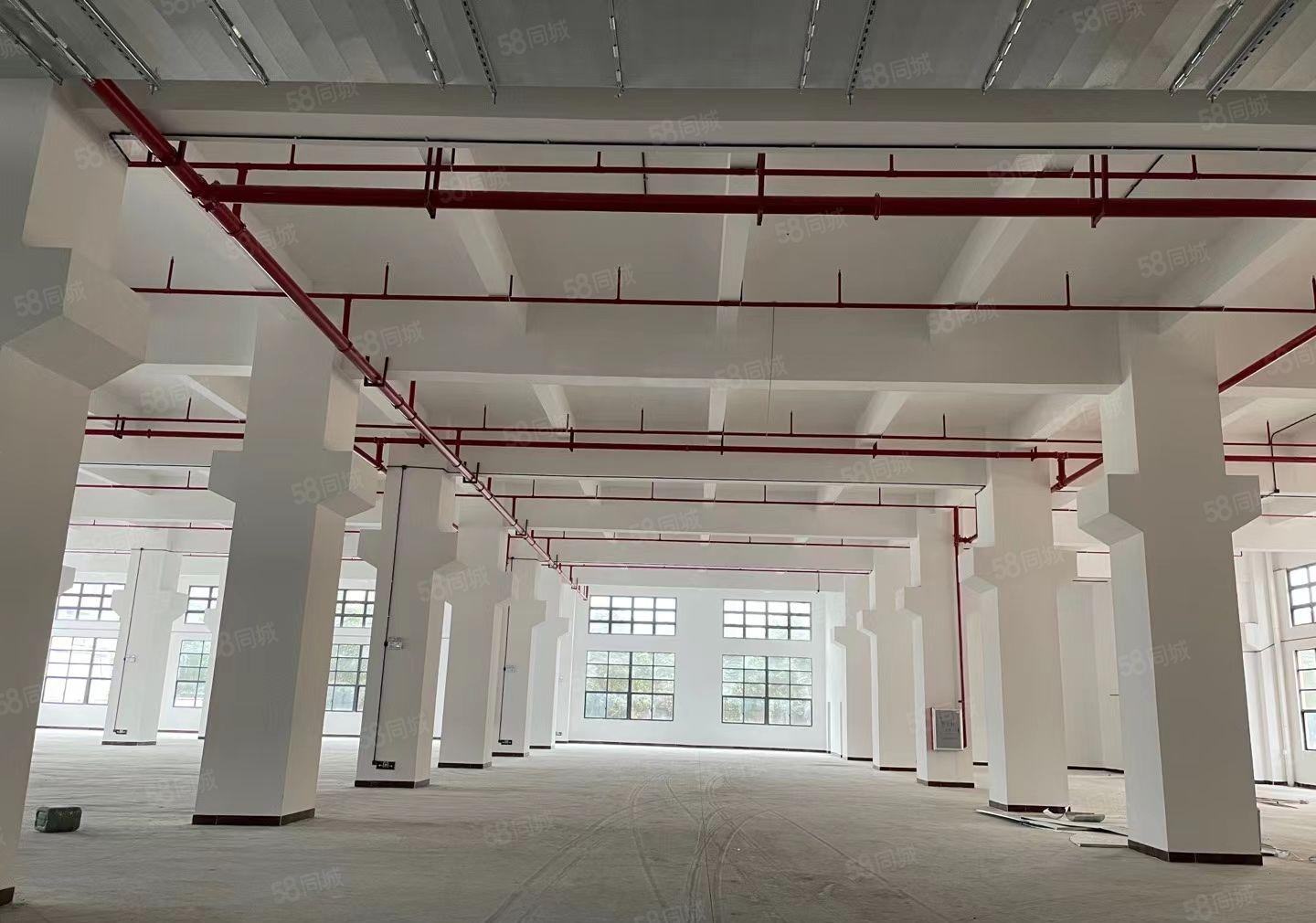 大朗洋乌新出一楼1750平方6米高厂房招租空地大拖头可掉头