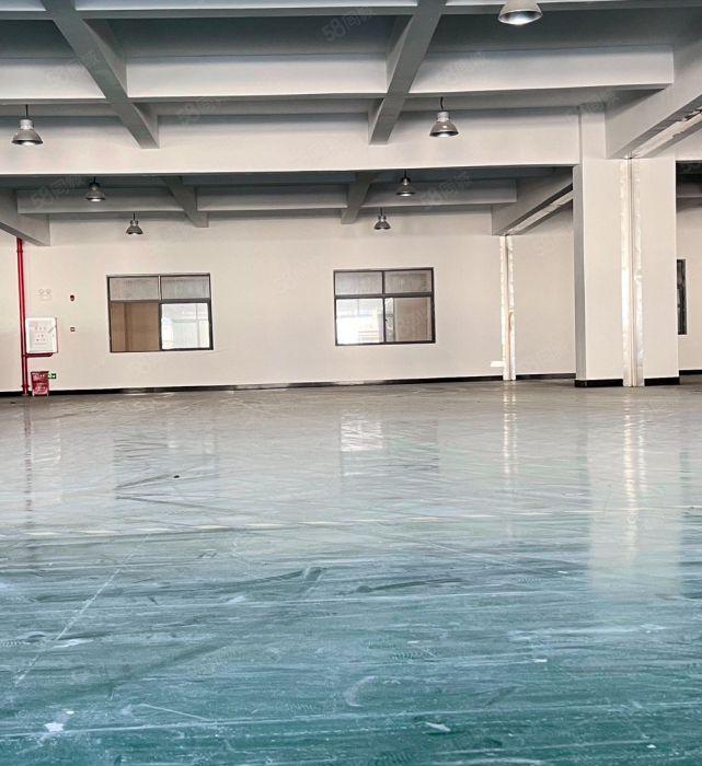 东莞大朗全新厂房低价招租（一手房东 价格实惠 园区配套齐全）