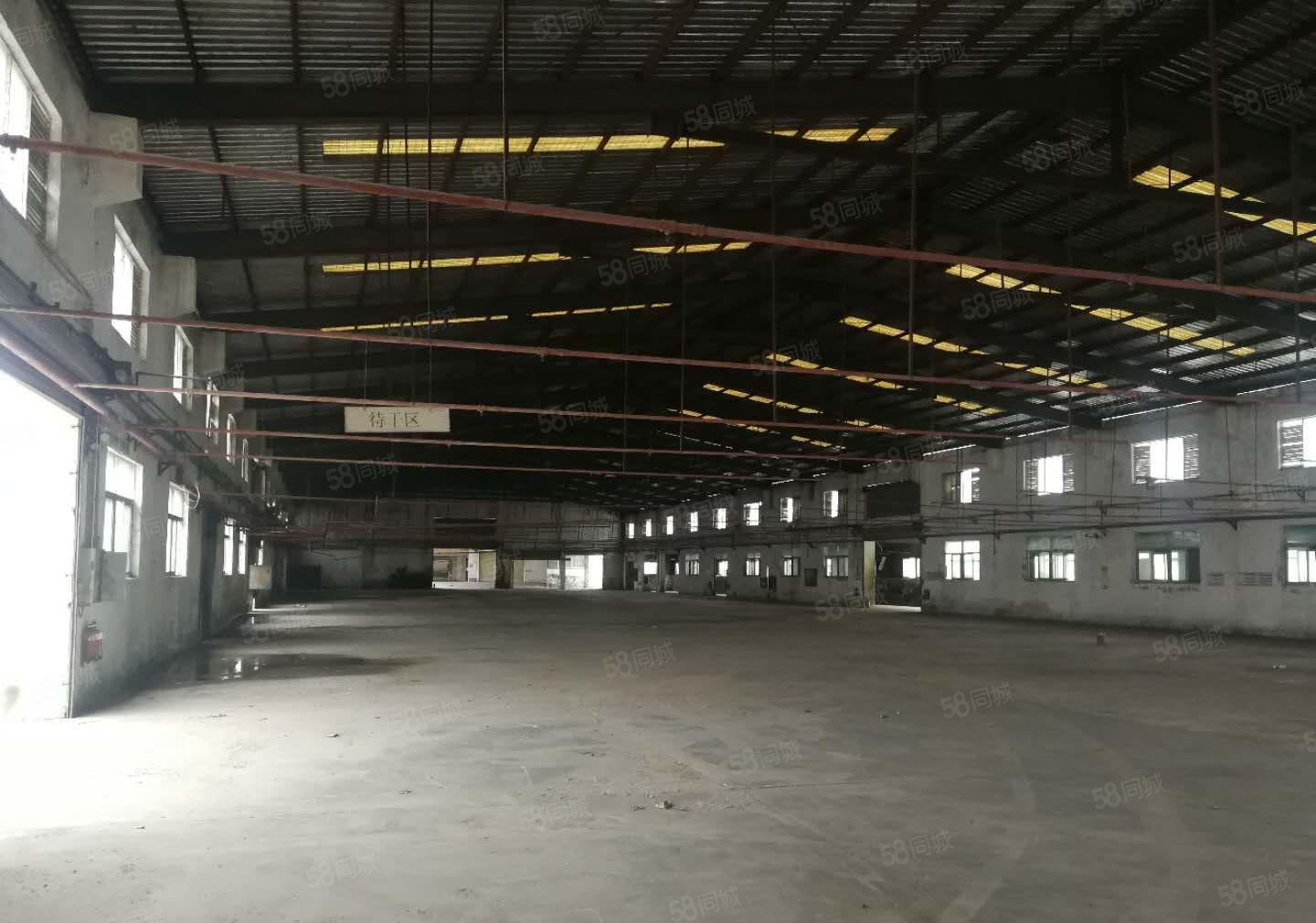 大朗洋坑塘新出钢构厂房出租5500平方 9米高 空地大独院