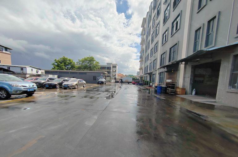 大朗镇新马莲标准一楼1400，高度8米，交通方便，电按需