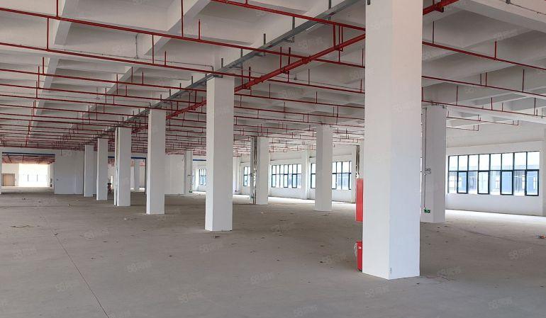 仓库出租 空地出租 厂房出租 无尘车间 租厂房 小独院