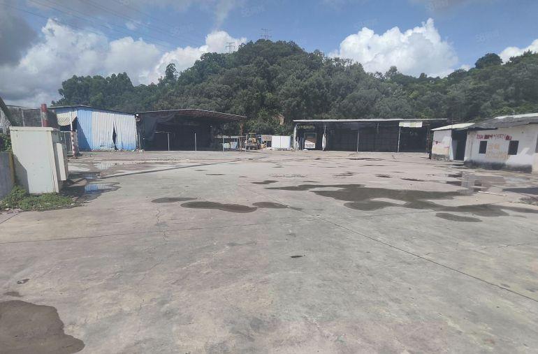 大朗镇原房东独门独院铁皮空地，主干道边上周边无居民，急租5元