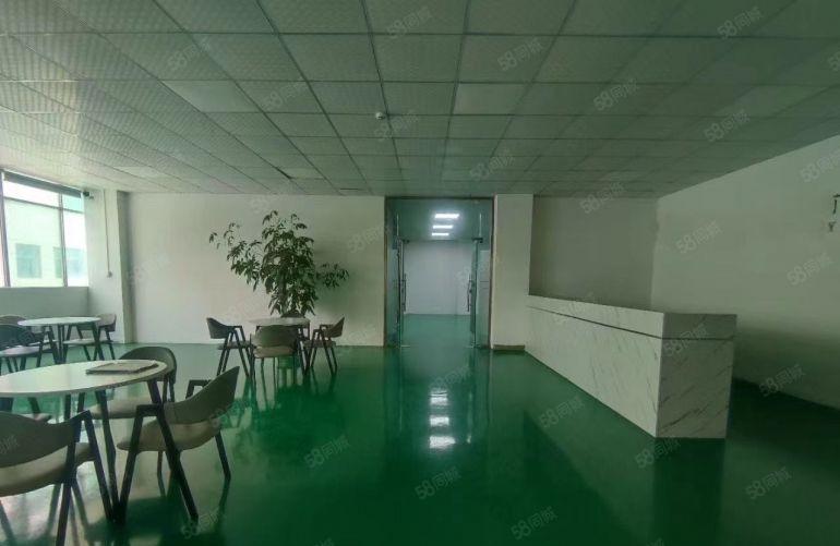 大朗原房东独门独院3000平米精装修办公室电商仓库厂房出租