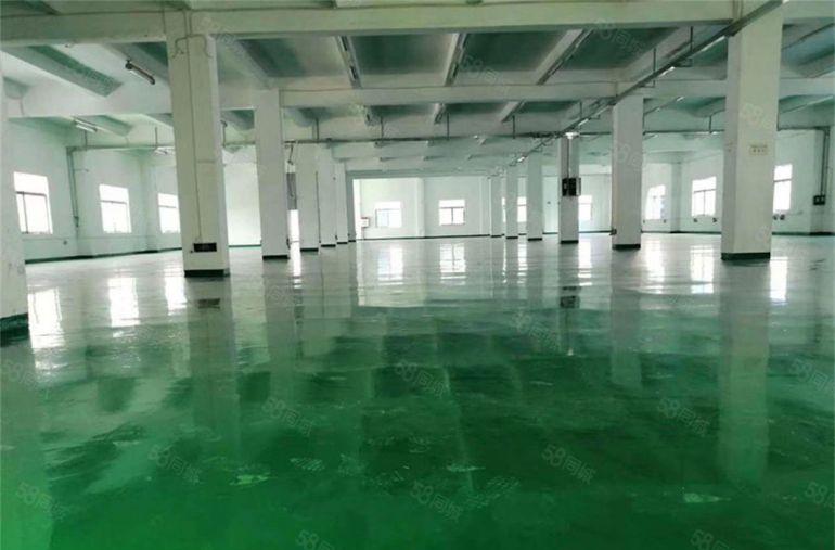 特价8元 大朗高英楼上2000平方厂房带装修可按需分租