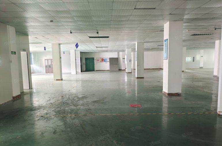 大朗精装1400平标准厂房出租 现成办公室车间 园区停车免费