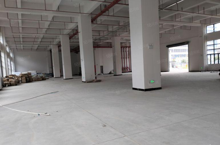 只要10块钱！大朗镇工业聚集地全新重工业厂房2000平方