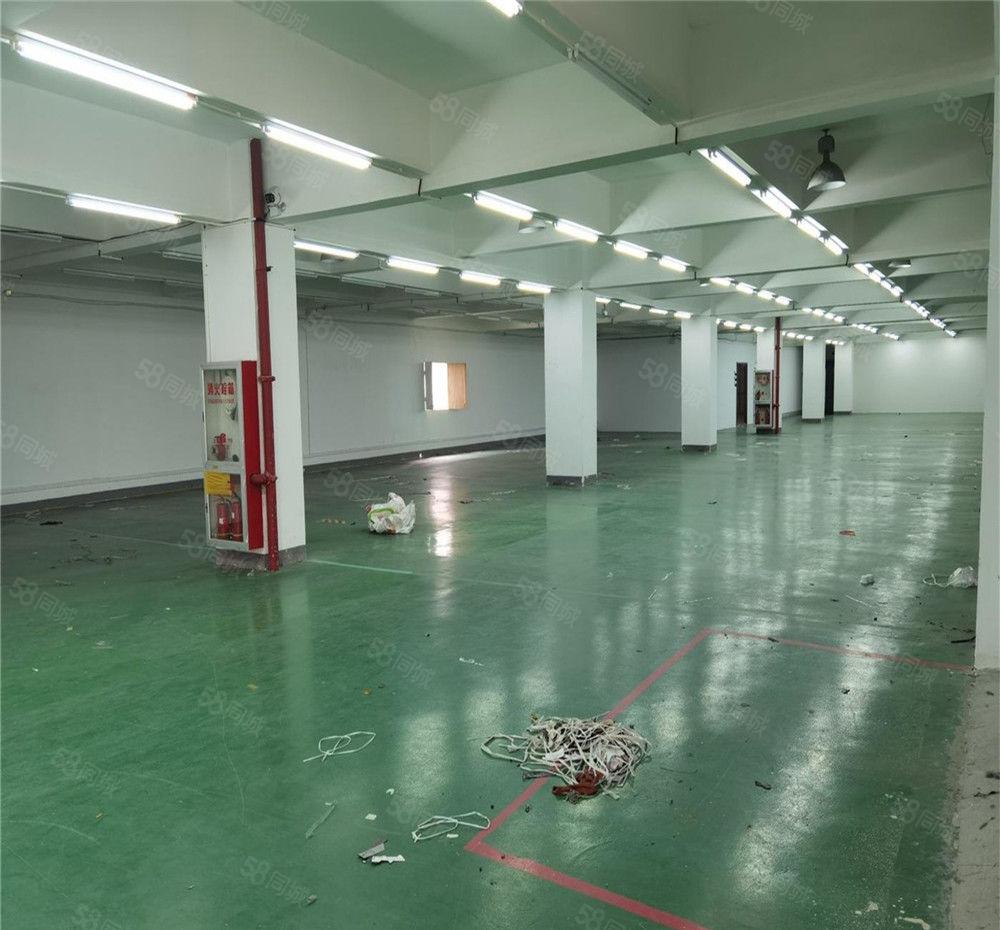 大朗厂房出租3楼1280方，地坪漆带办公室，仓库电商等多行