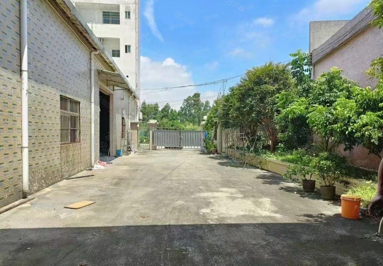 大朗原房东独院单一层钢构厂房出租800平滴水7米有宿舍好进车