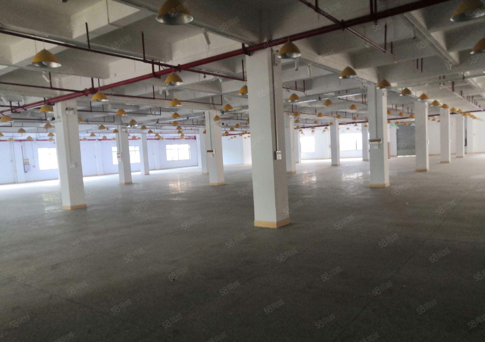 大朗镇新出花园式国有双证齐全独院厂房9500平方