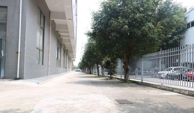 东莞 大朗 原房东 500~7000平 全新厂房出租