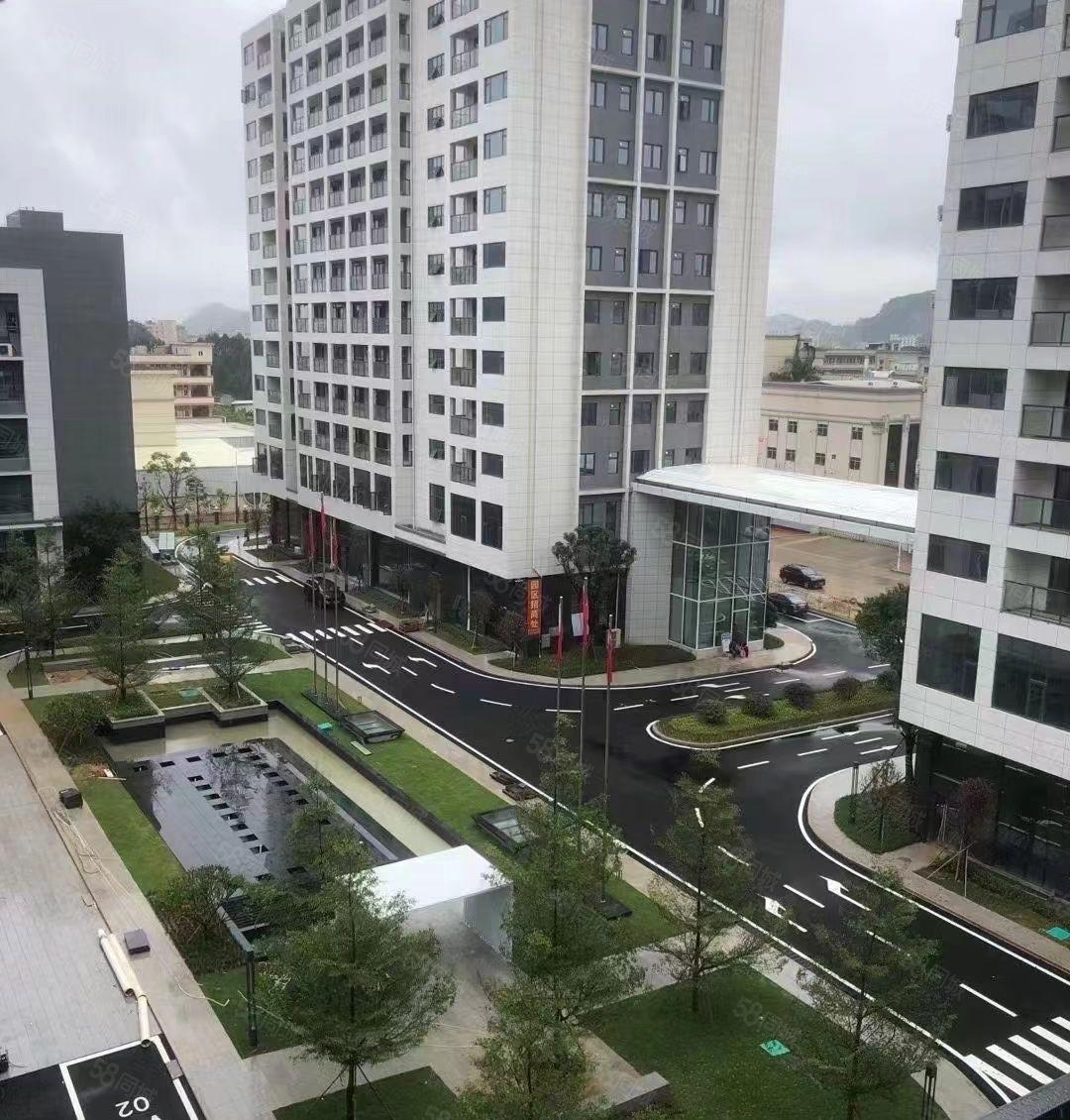 大朗正规工业区全新厂房8万平方 700起分租 上市公司