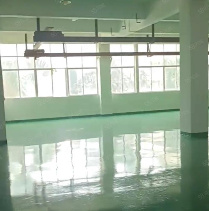 大朗镇中心区独院二楼全新地坪漆600平方厂房出租 水电齐全