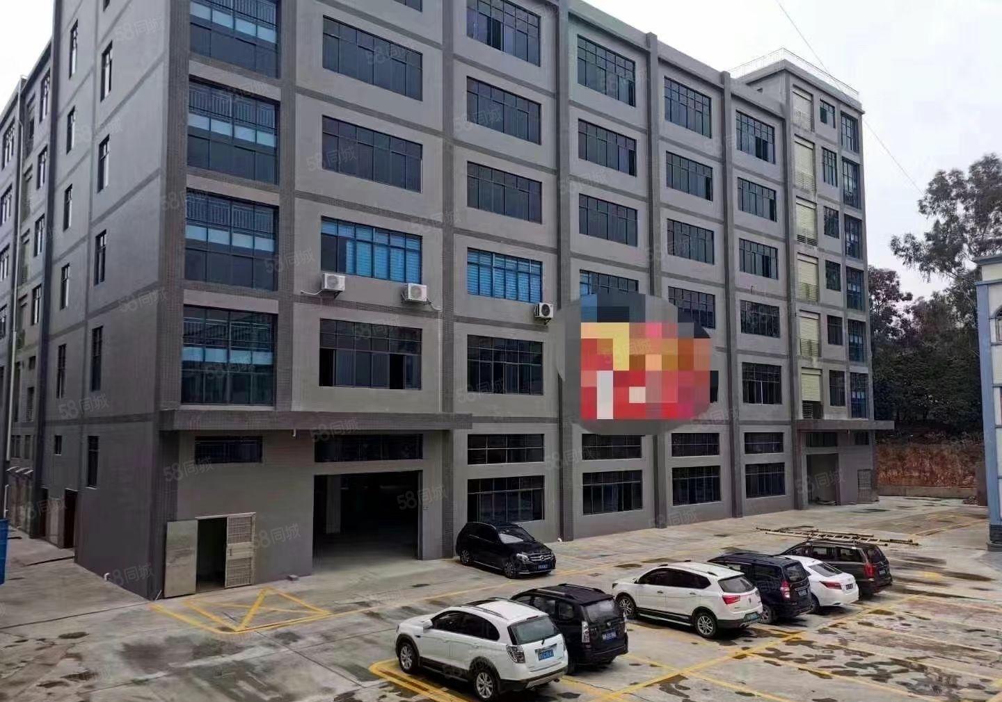 大朗全新带装修厂房出租，带有6个办公室，可随时入驻