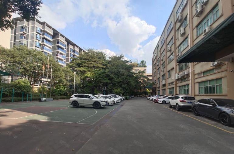 大朗 标准独院厂房 现成装修 适合纺织 电子 医疗器械 箱包