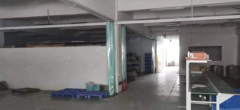 大朗美景路边特价6.9元标准厂房