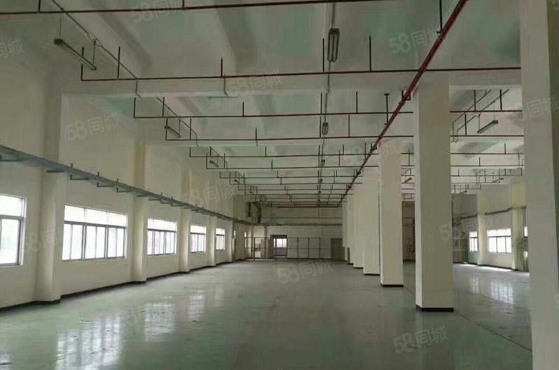 大朗洋乌新出二楼600平方厂房可做工艺品 丝印 注塑等