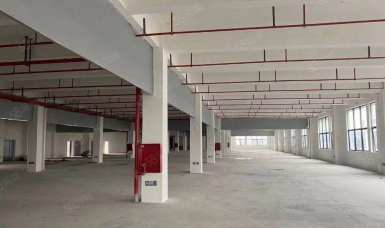 大朗高速口独栋厂房含税出租灵活分租