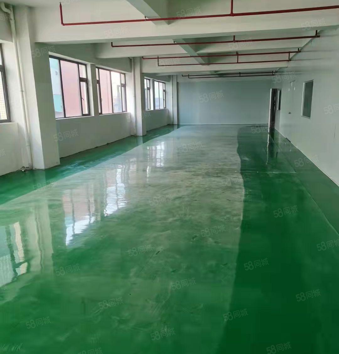 大朗自有厂房200平至1000平招租水电齐全